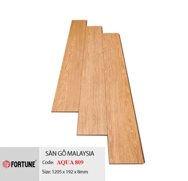 sàn gỗ fortune 809