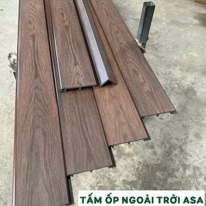 Tấm ốp ngoài trời ASA màu Walnut hình 2